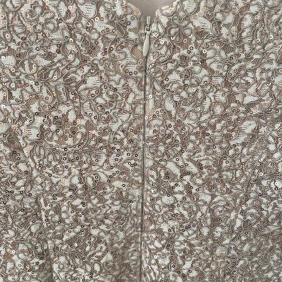 Gorgeous Alex Evening Dress Size 8 NWT - Picture 6 of 12